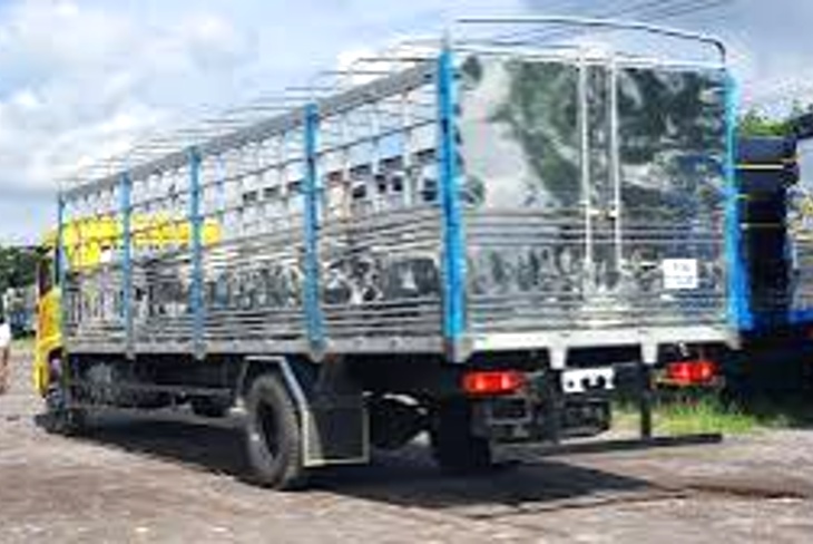 Nhà xe chở hàng Khánh Hòa: nguồn hàng từng huyện, cỡ xe hợp