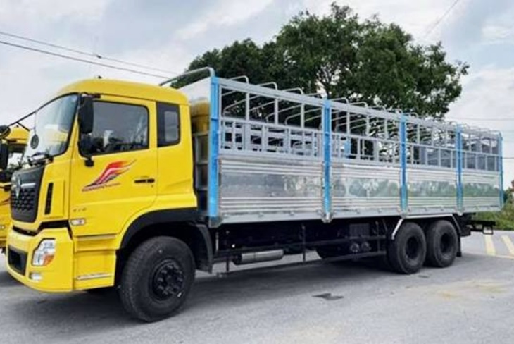 Nhà xe chở hàng Ninh Bình: bốn hướng hàng, nguồn từng huyện